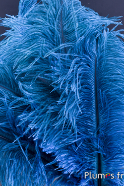 Autruche - 30-40 cm - gris naturel-turquoise
